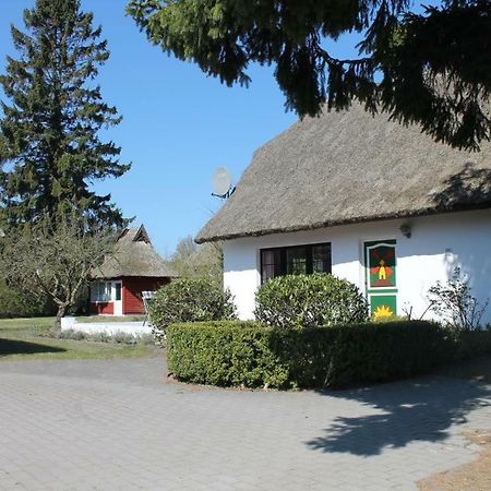 Ferienhaus Ilva In Born Exterior foto
